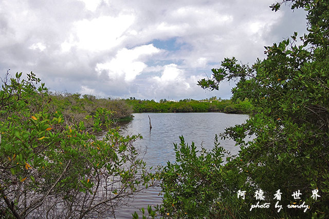 galapagos6P7700 207.JPG