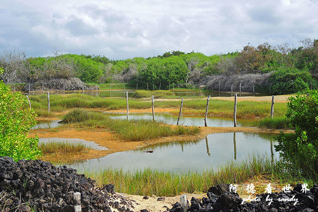 galapagos7P7700 038.JPG galapagos7P7700 038.JPG