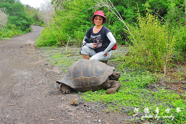 galapagos7P7700 064.JPG