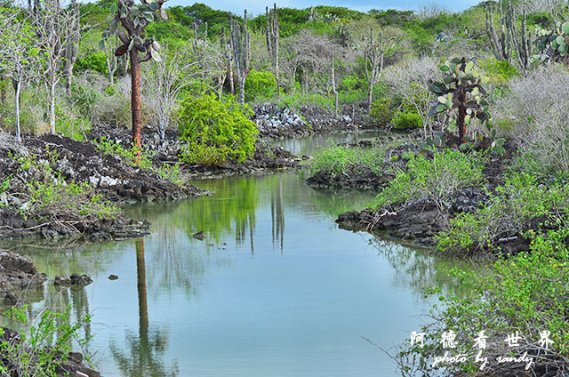 galapagos8D7000 064.JPG