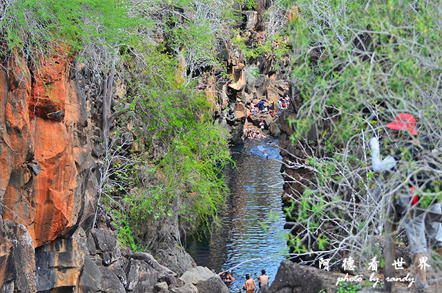 galapagos8D7000 152.JPG