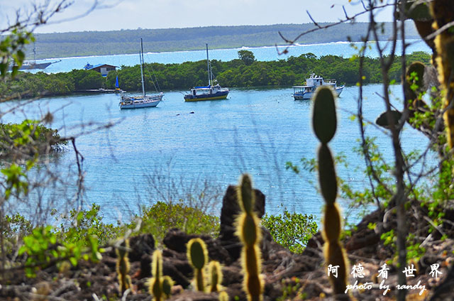 galapagos8D7000 168.JPG