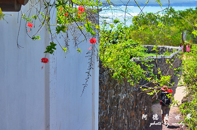 galapagos8D7000 209.JPG