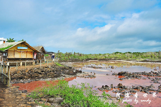 galapagos8P7700 040.JPG