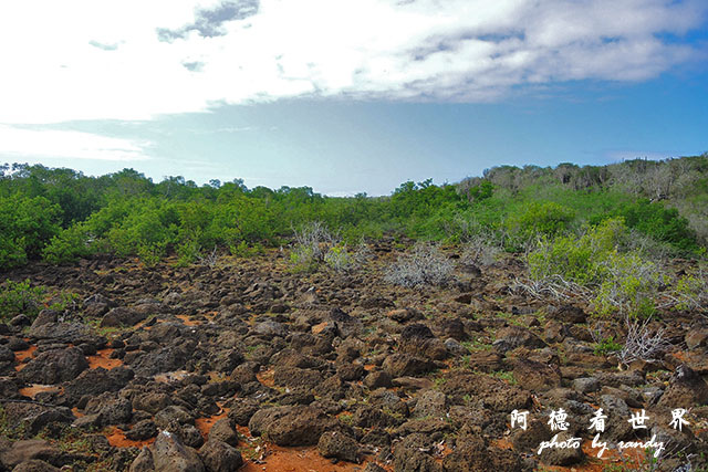 galapagos8P7700 051.JPG