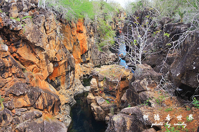 galapagos8P7700 097.JPG