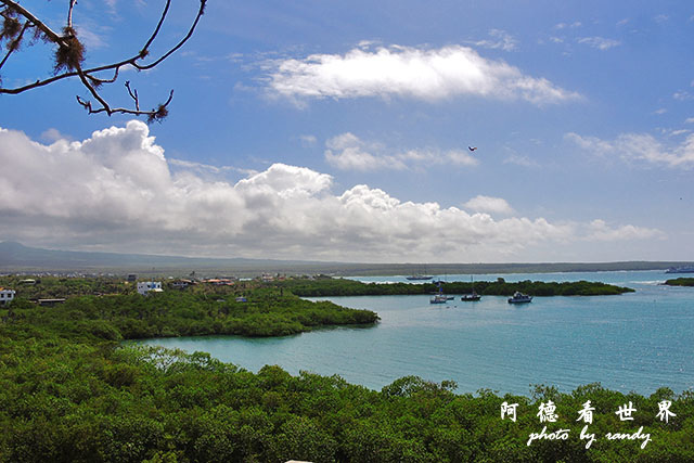 galapagos8P7700 102.JPG