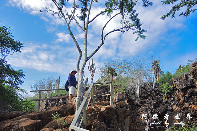 galapagos8P7700 076.JPG