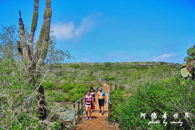 galapagos8P7700 116.JPG