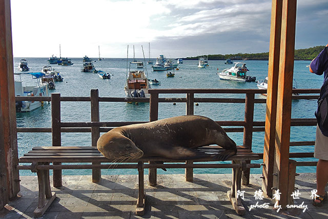 galapagos8P7700 199.JPG