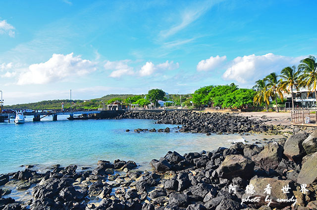 galapagos9D7000 028.JPG