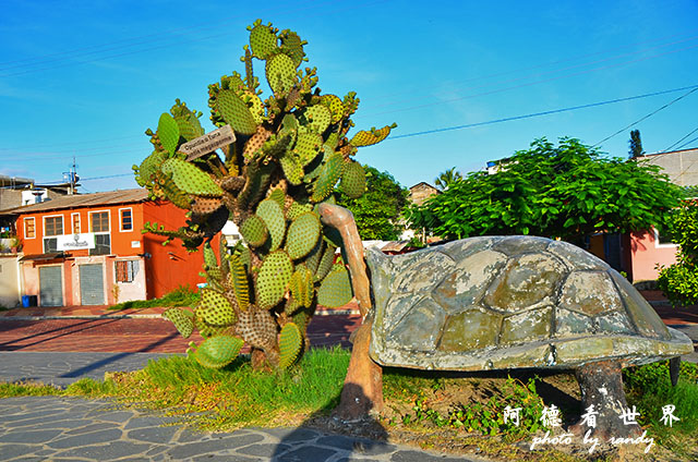 galapagos9D7000 074.JPG