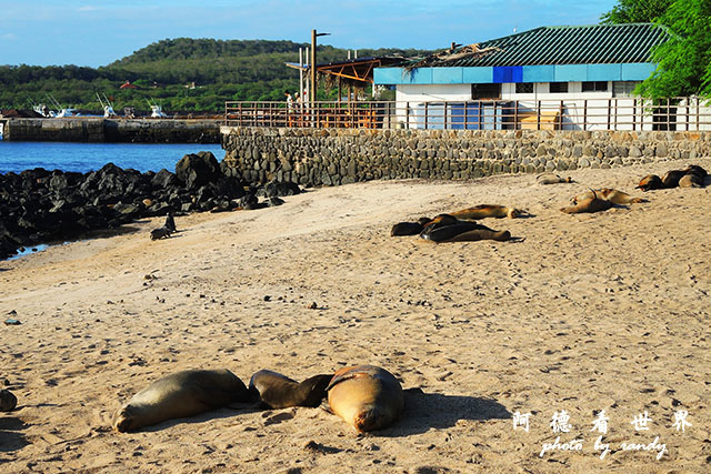 galapagos9P7700 208.JPG