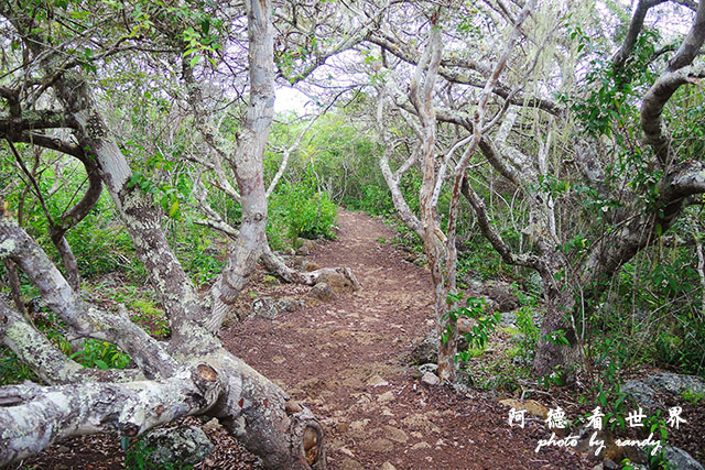 galapagos9P7700 037.JPG