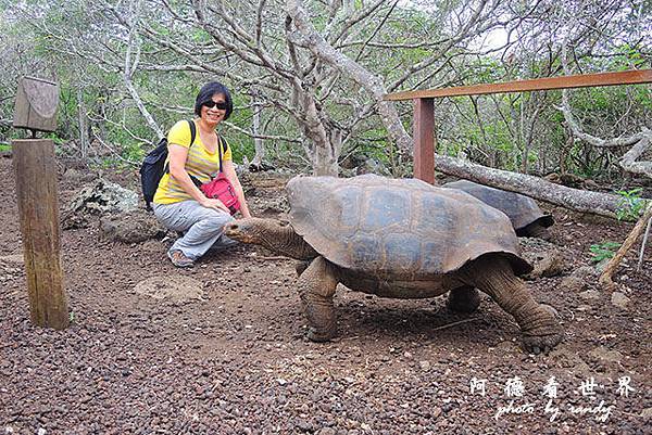 galapagos9P7700 056.JPG