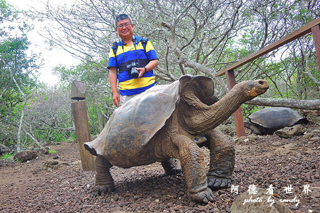 galapagos9P7700 061.JPG