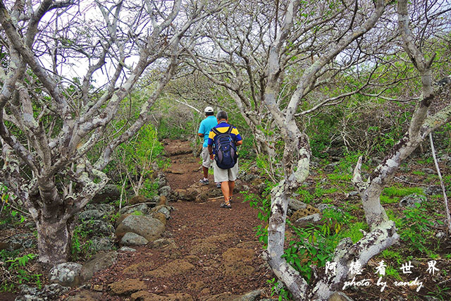 galapagos9P7700 069.JPG