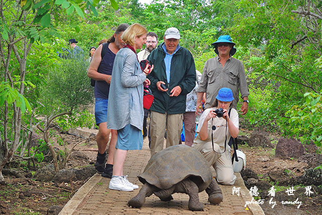 galapagos9P7700 077.JPG