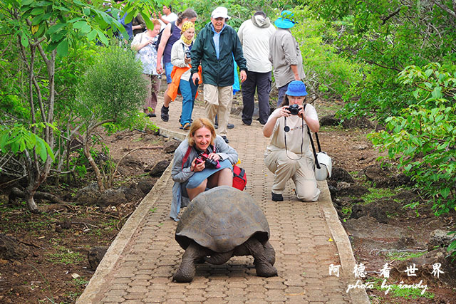 galapagos9P7700 076.JPG