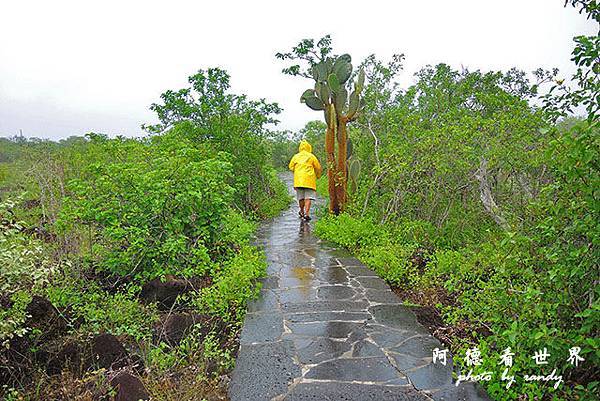 galapagos9P7700 084.JPG