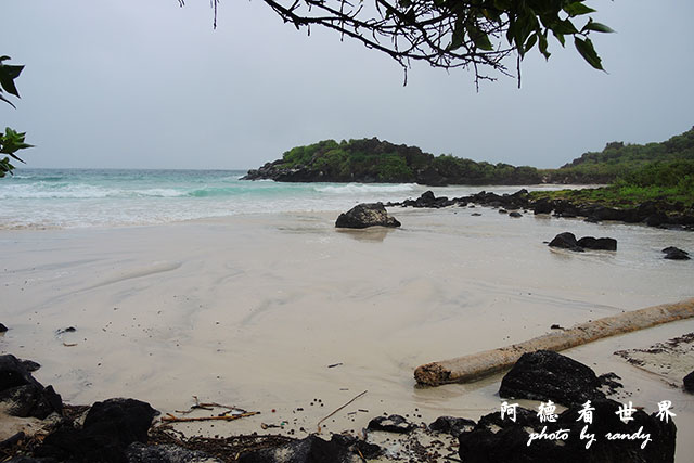 galapagos9P7700 090.JPG