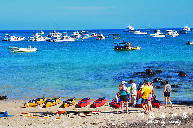 galapagos10D7000 038.JPG galapagos10D7000 038.JPG
