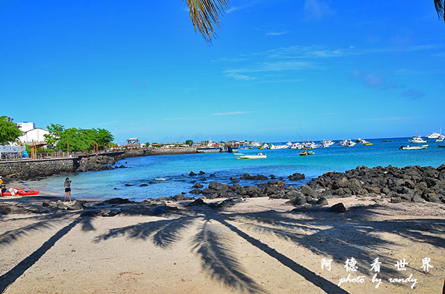 galapagos10D7000 042.JPG galapagos10D7000 042.JPG