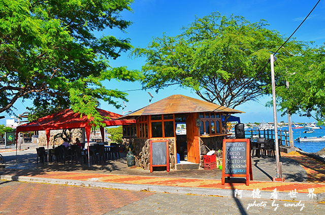 galapagos10D7000 063.JPG galapagos10D7000 063.JPG