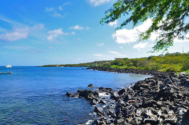 galapagos10D7000 056.JPG galapagos10D7000 056.JPG