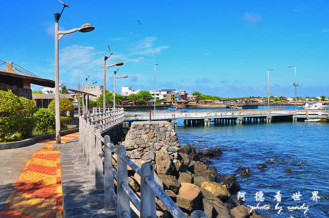 galapagos10D7000 061.JPG galapagos10D7000 061.JPG