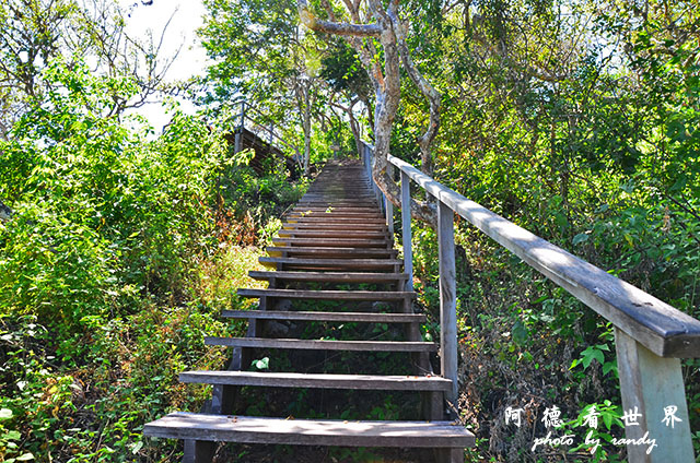 galapagos10D7000 126.JPG