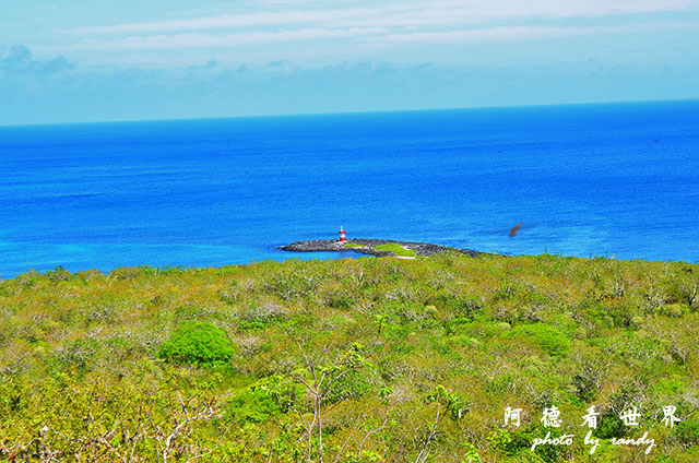 galapagos10D7000 132.JPG