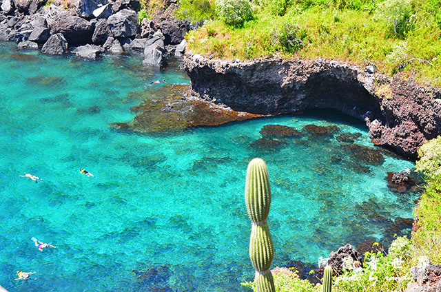 galapagos10D7000 164.JPG