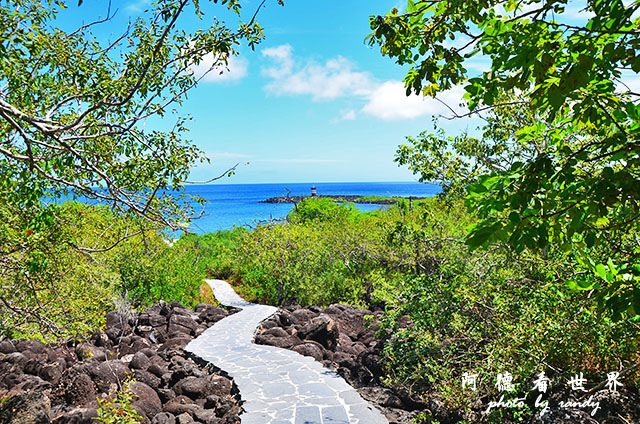 galapagos10D7000 181.JPG