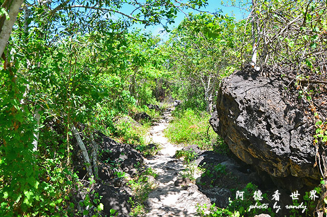 galapagos10D7000 195.JPG