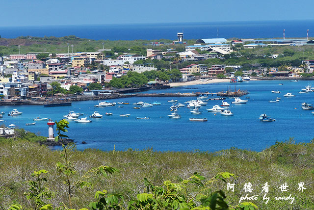 galapagos10FZ200 (86).JPG