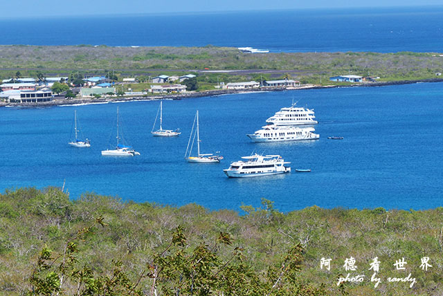 galapagos10FZ200 (92).JPG