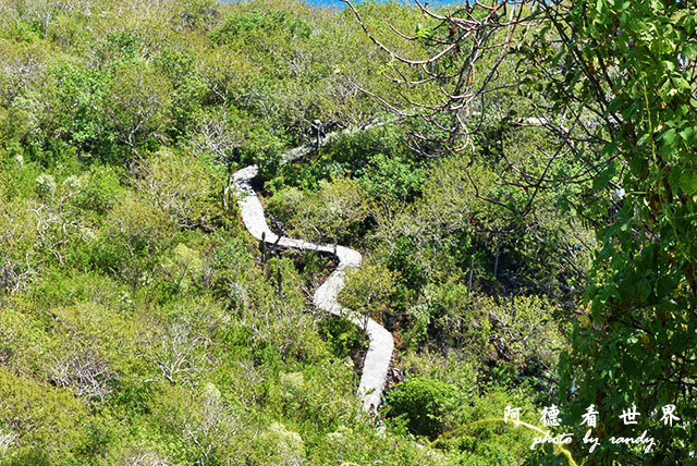 galapagos10FZ200 (97).JPG