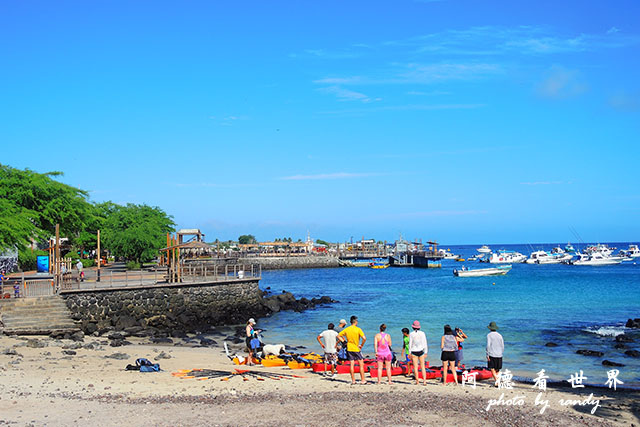 galapagos10P7700 022.JPG galapagos10P7700 022.JPG