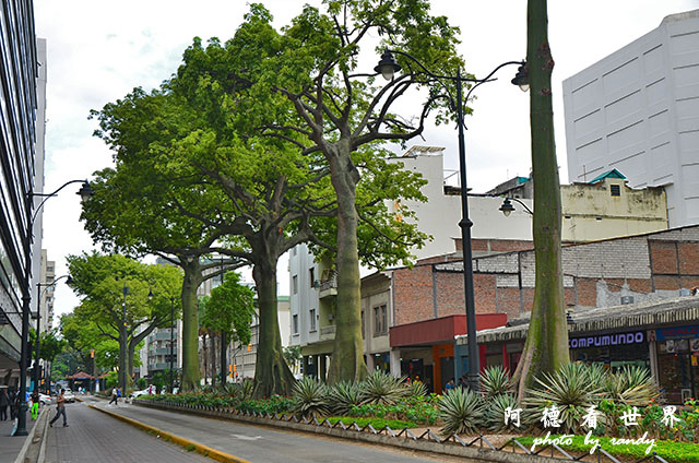 guayaquil2D7000 188.JPG guayaquil2D7000 188.JPG