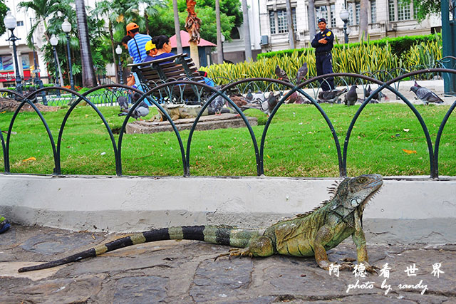 guayaquil2P7700 264.JPG guayaquil2P7700 264.JPG