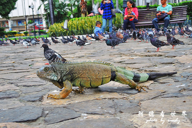 guayaquil2P7700 274.JPG guayaquil2P7700 274.JPG