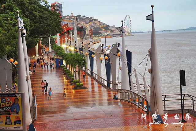 guayaquil2P7700 330.JPG guayaquil2P7700 330.JPG