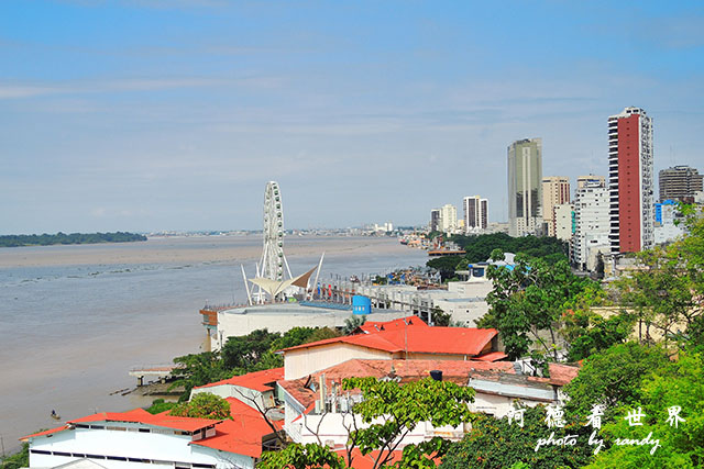 guayaquil2P7700 112.JPG guayaquil2P7700 112.JPG