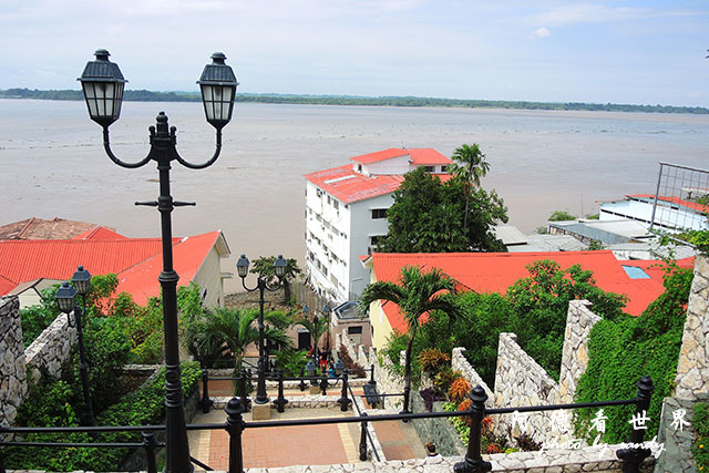 guayaquil2P7700 107.JPG guayaquil2P7700 107.JPG