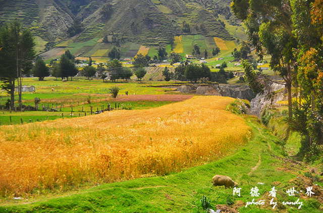 quilotoa1D7000 183.JPG