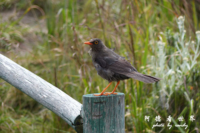 quilotoa1FZ200 (2).JPG quilotoa1FZ200 (2).JPG