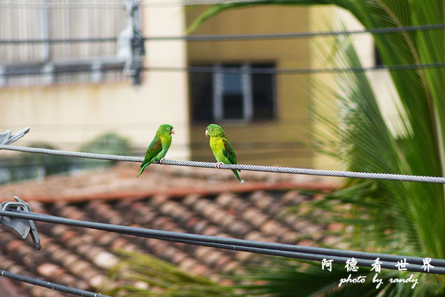 cartagena1FZ200 (26).JPG cartagena1FZ200 (26).JPG