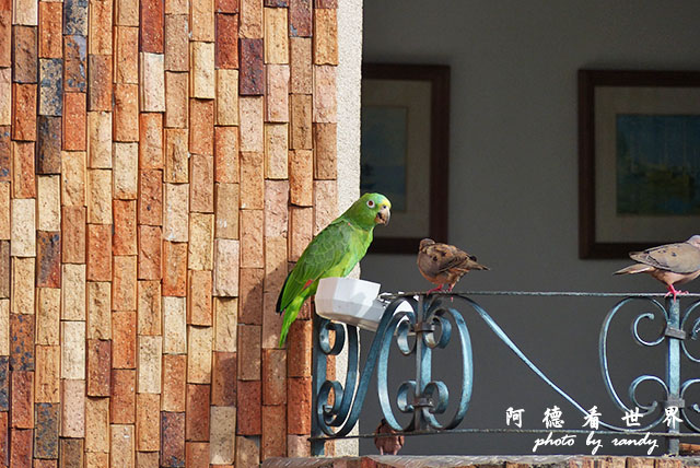 cartagena1FZ200 (31).JPG cartagena1FZ200 (31).JPG