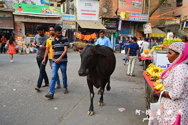 deli3-redfort-jamamasjidD7000 194.JPG deli3-redfort-jamamasjidD7000 194.JPG